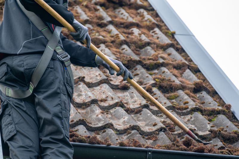 Increase Your Roof Moss Removal Business with an AI Driven, Targeted Website