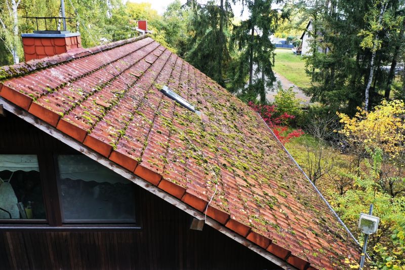 Roof Moss Removal