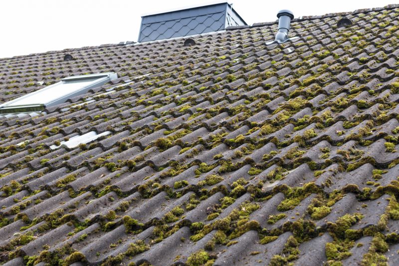 Roof Moss Removal